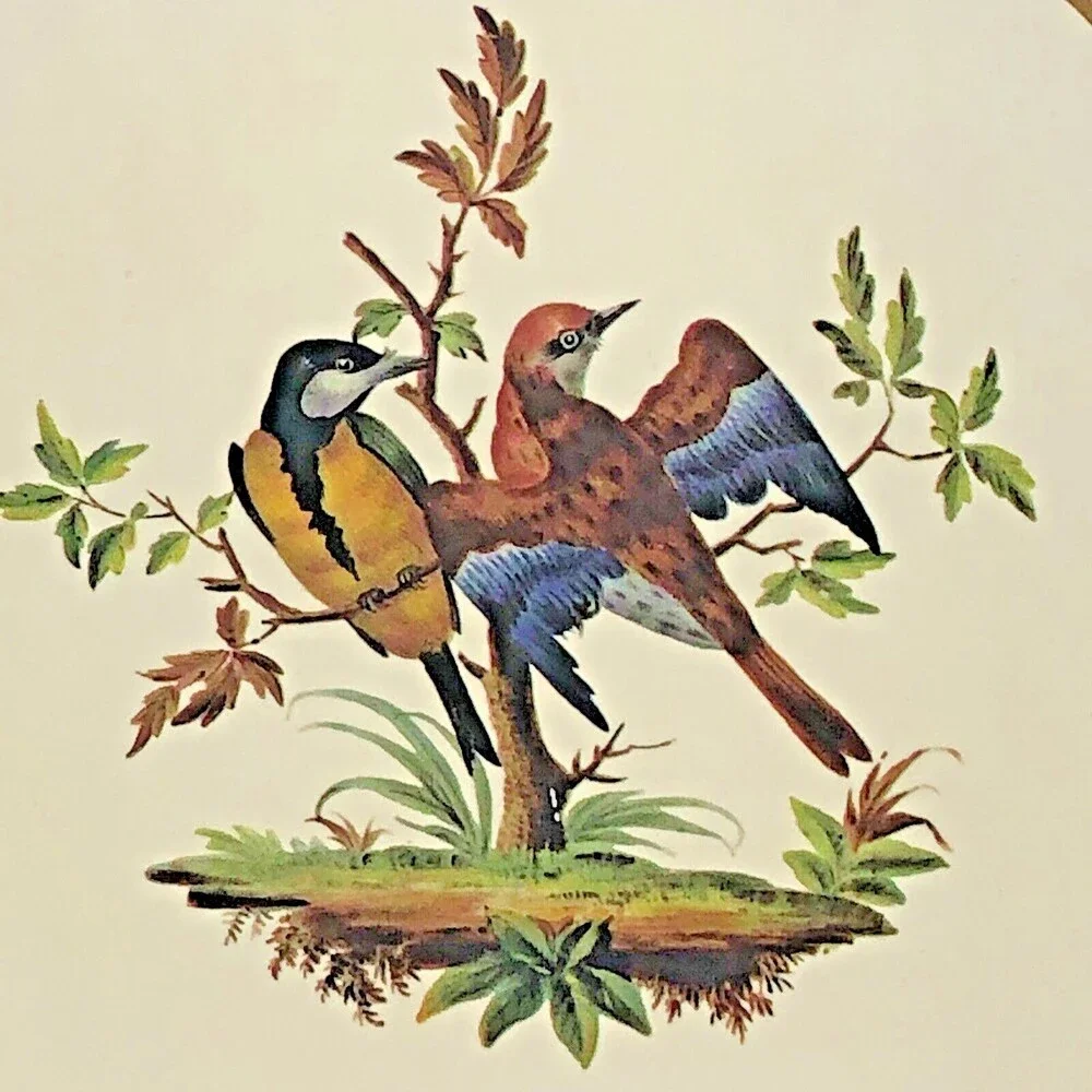 VTG Clover Leaf Wild Bird Cork Trivet Hot Pad King Fisher Golden Finch Set Of 3
